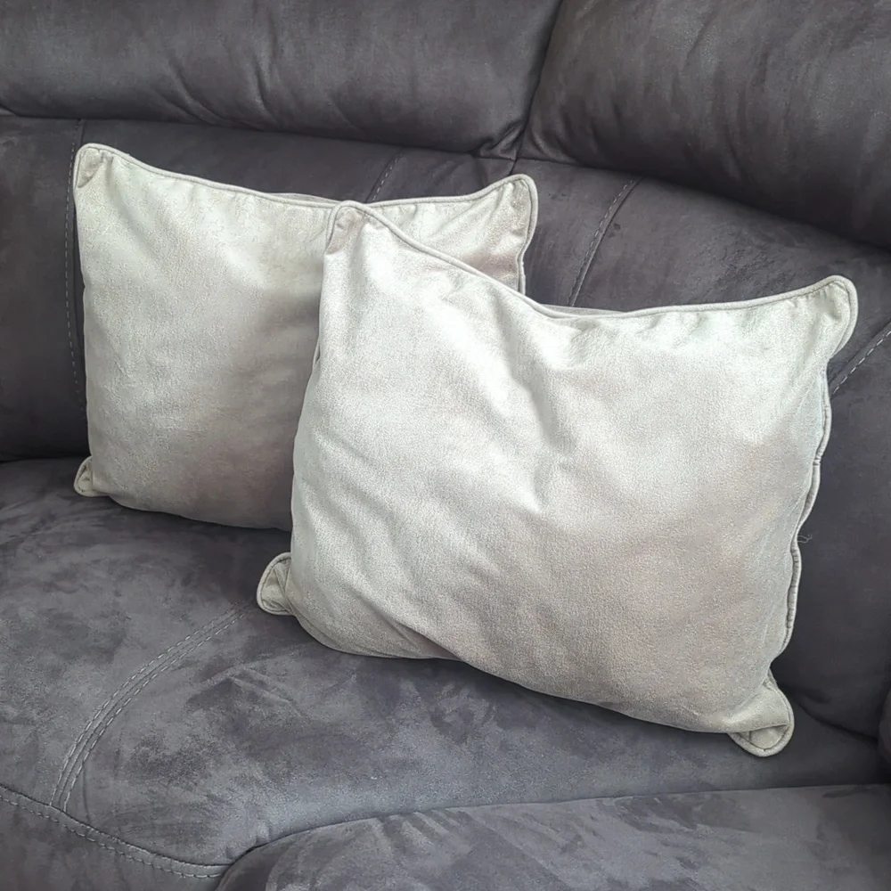 2 velvet pillows